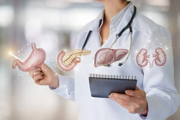 El médico muestra los órganos internos del paciente  . —  Fotos de Stock