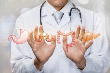 Doktor iç organları gösteriyor .
