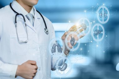 İç organların etkileşim mekanizmasını kurma kavramı .