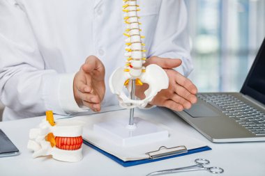 Masadaki doktor omurganın bir modelini gösteriyor. .