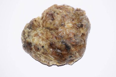 Guggul Commiphora wightil Hint bdellium ağacı Gugal Gugul sakızı Incense Vedic Ayurvedic ilaç bitkisinde kullanılır.