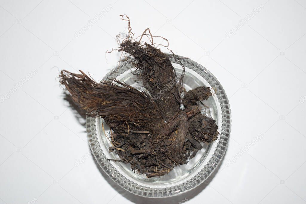 Selective focus of nard in transparent bowl.Nardostachys jatamansi also known as Indian spikenard is herbal ayurvedic medicinal ancient root used in ayurveda treatment of many ailments and diseases