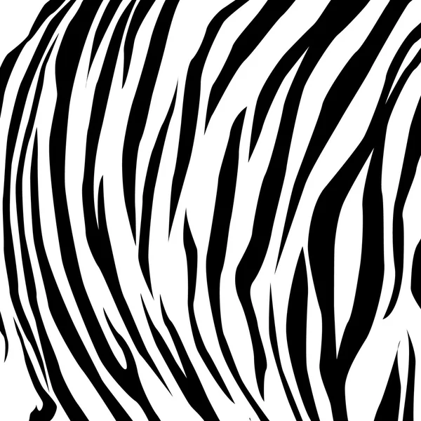 Animal skin black and white tiger. — Stock Vector