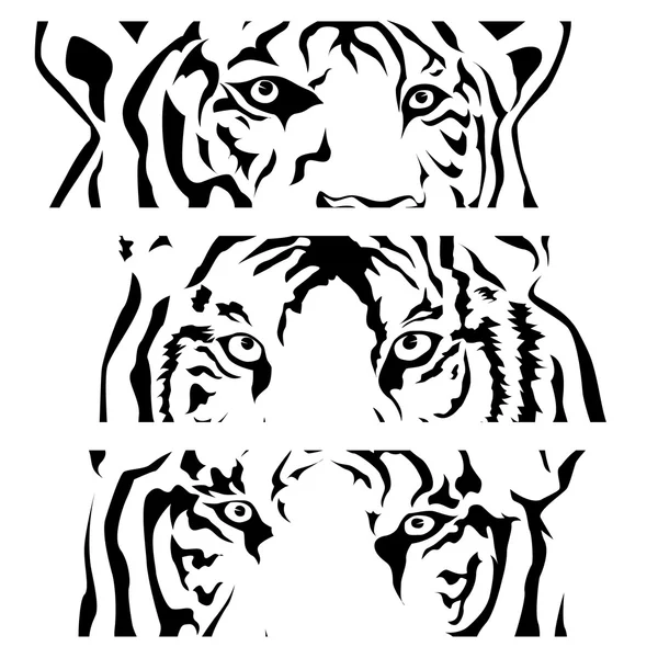 Силуэт глаз тигров, вектор — стоковый вектор