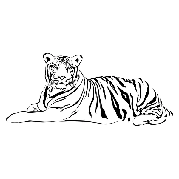 Tigre sentado, blanco y negro, vector — Vector de stock