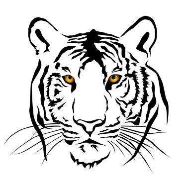 Kaplan göz rengi, vektör baş