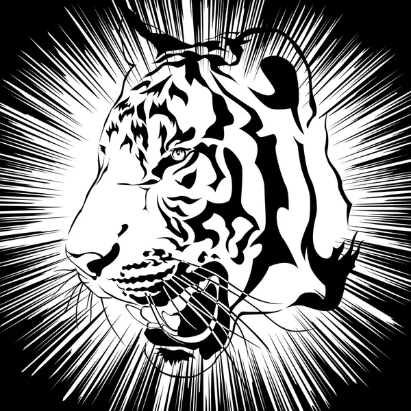 Tygří hlava černá a bílá, vektor — Stockový vektor