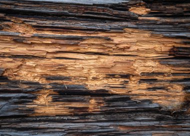 Eski tahta arka plan yatay çizgiler