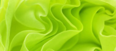 Tasarımın için bulanık arkaplan. Sarı-yeşil bir gül goncasının makrofotoğrafçılığı. Panoramik resim.