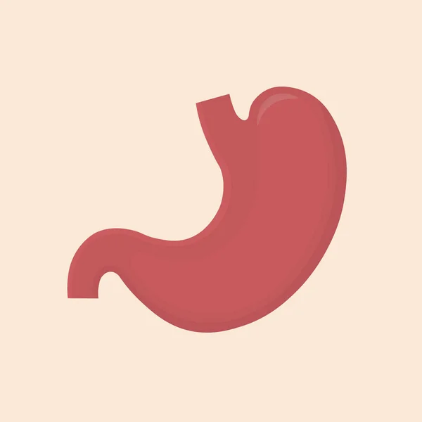 Stomach Icon Human Internal Organs Symbol Digestive System Anatomy Vector — Stock Vector