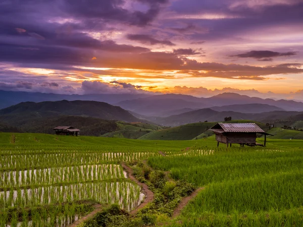 Západ slunce a zelené terasovité rýžové pole v Pa Pong Pieng, Mae Chae — Stock fotografie