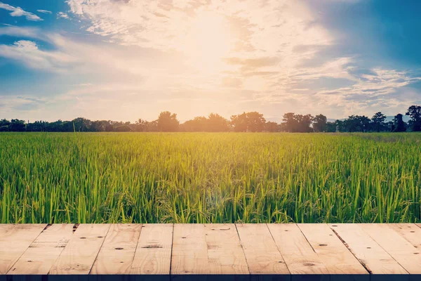 Рисовое поле и фон деревянного стола с пространственным дисплеем для прода — стоковое фото