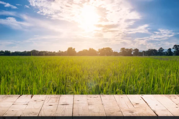 Wooden board table front and blurred background rice field sunli — Stock Photo, Image