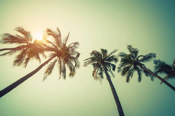 Palmera de coco en la playa en verano con efecto vintage . — Foto de Stock