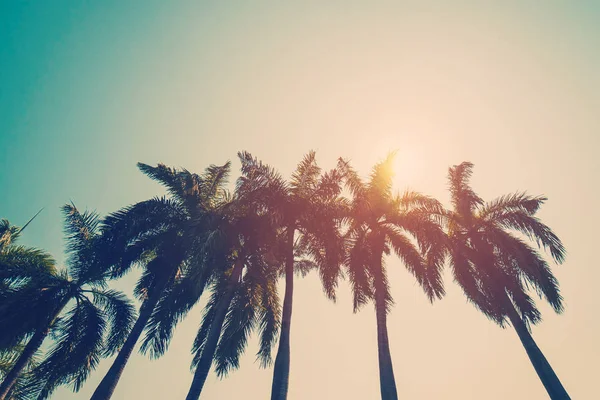 Кокосова пальма на пляжі влітку з вінтажним ефектом . — стокове фото