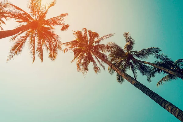 빈티지 필터와 코코넛 야 자 나무와 푸른 하늘. — 스톡 사진