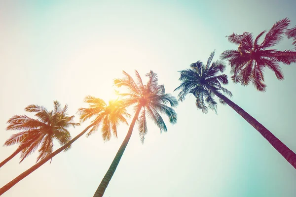 Palmera de coco en la playa y la luz del sol con effec tonificado vintage — Foto de Stock