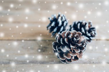 Ahşap masa arka plan boşluk ile çam koni ve beyaz kar.