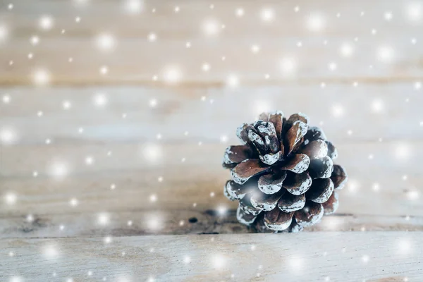 Pine cone and white snow on wood table background with space.