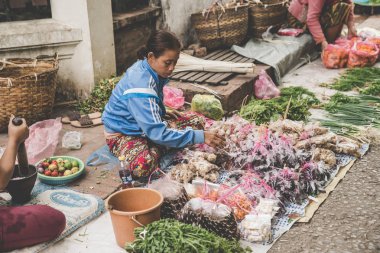 Yerel bir Laotian tepe kabile kadın sebze Luang Prabang, Laos 13 Kasım, 2017 üzerinde günlük sabah pazarda satıyor..