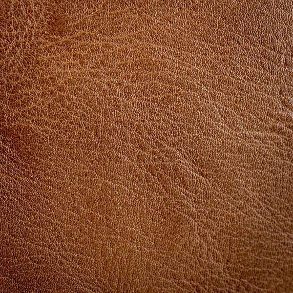 Close up brown leather texture and background — Stock Photo, Image