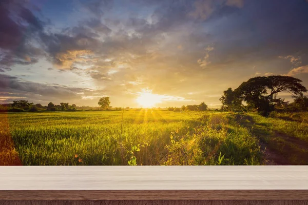 Reisfeld Sonnenuntergang und leerer Holztisch für Produktpräsentation und m — Stockfoto