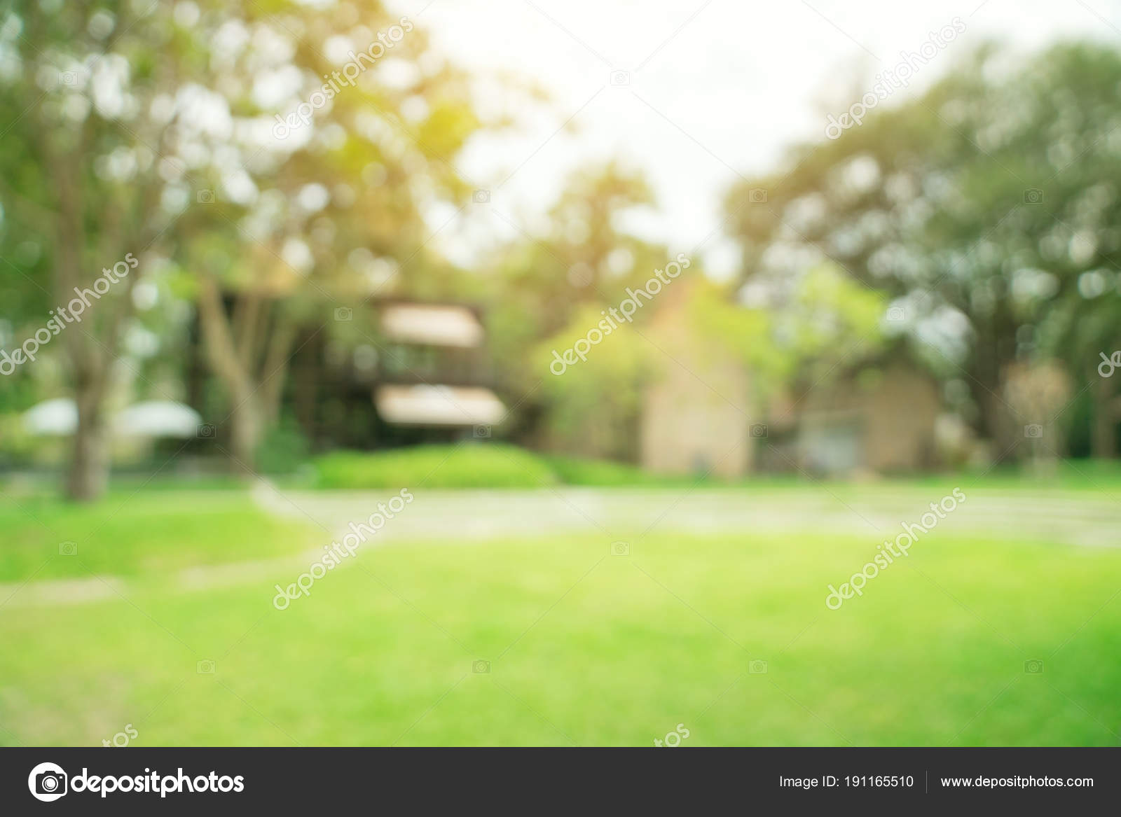 Defocused bokeh and blur background of garden trees in sunlight. Stock  Photo by ©tortoon 191165510
