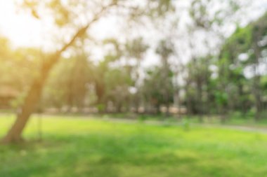 Gün ışığında bahçe ağaçlarının bulanık arkaplanı ve odaksız bokeh.