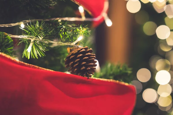 Nahaufnahme von Tannenzapfen, die am Weihnachtsbaum hängen. — Stockfoto