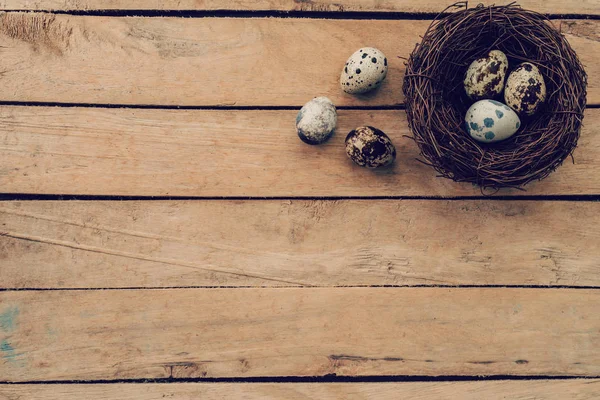 Oeufs Pâques et nid sur table et fond en bois avec copie sp — Photo