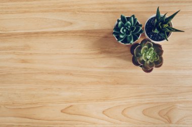 Fotokopi alanı olan ahşap masa arka planında sulu