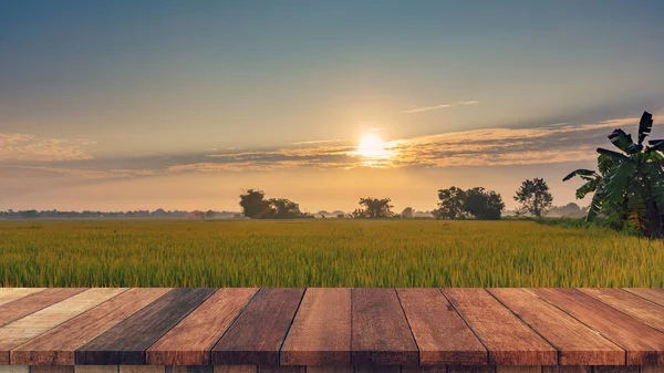 Pirinç Tarlası Günbatımı Ürün Görüntüleme Montaj Için Boş Ahşap Tablo — Stok fotoğraf