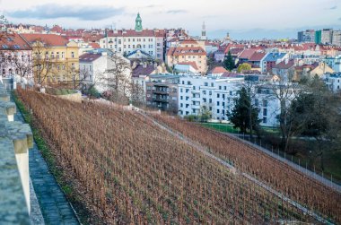 Prag, Vinohrady, Havlicek bahçeleri (Grebovka da bilinir)