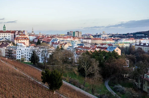 Praga, Vinohrady, Havlicek Gardens (noto come Grebovka) - view a Fotografia Stock