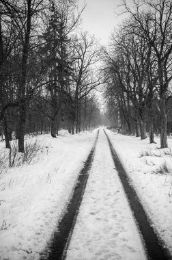 kar, siyah ve Beyaz orman yolu kapalı