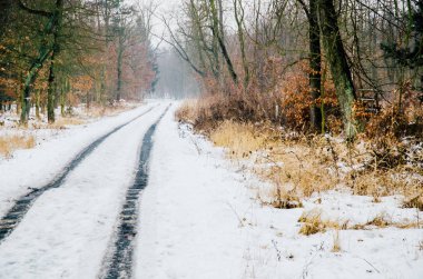 Ormanın içinden sürüş kış