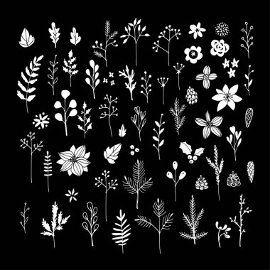 Beyaz tebeşir kümesi çiçekler, yapraklar ve tahtaya şubeleri. İzole Noel çiçek öğeleri. Elle çizilmiş vektör.