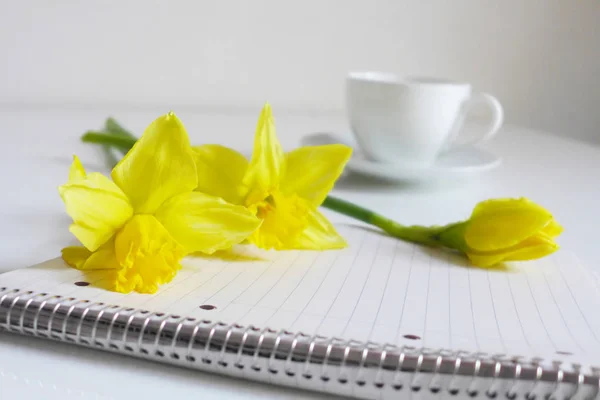 春は、ストック フォト スタイル。水仙の花、水仙、メモ帳、一杯のコーヒーのある静物。背景をぼかし、ブログやソーシャル メディアのイメージ. — ストック写真