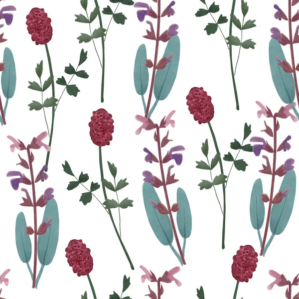 Cute floral seamless pattern with herbs. Sage, salvia officinalis and burnet, sanguisorba. Watercolor background with wild flowers. — Stock Photo, Image