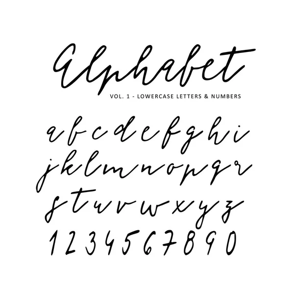 Hand drawn vector alphabet. Signature script font. Isolated letters written with marker, ink. Calligraphy, lettering. — Stock Vector