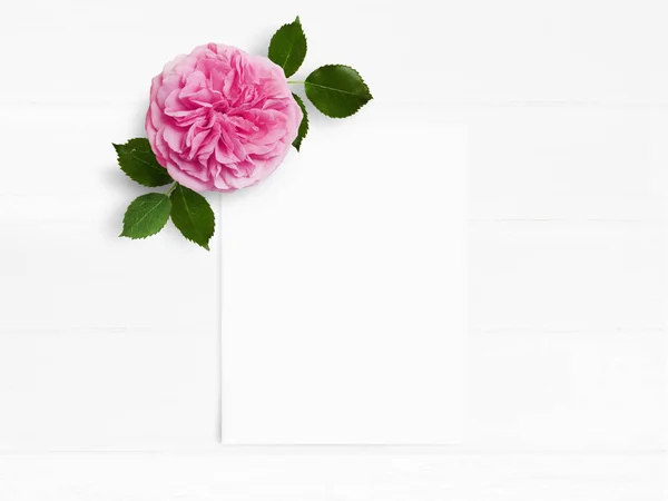 Foto stock in stile. Mockup da tavolo da sposa femminile con fiore rosa inglese rosa e carta bianca vuota. Composizione floreale su fondo antico in legno bianco. Vista dall'alto. Piatto immagine lay . — Foto Stock