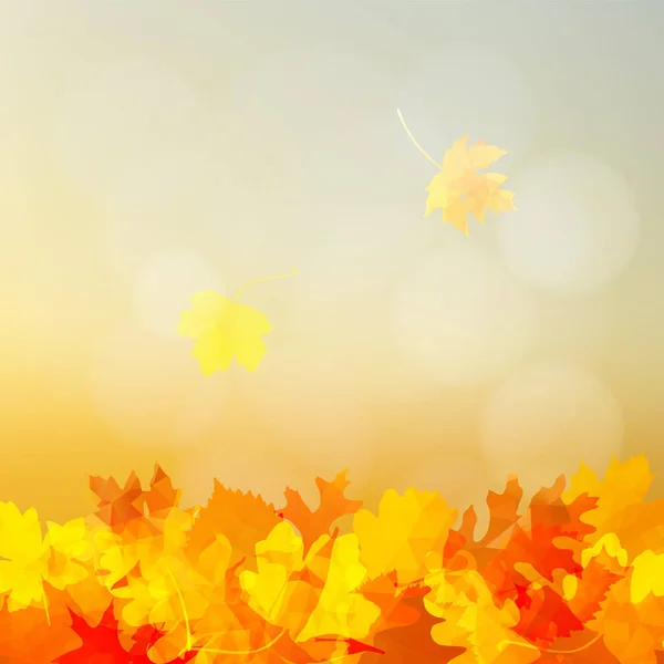 Carte de voeux d'automne lumineuse, invitation avec des feuilles de chêne, d'orme et d'érable colorées. Fond flou moderne avec des lumières bokeh. Illustration vectorielle . — Image vectorielle