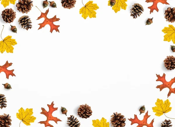 Scène de maquette d'automne. Composition automnale créative faite d'érable coloré, feuilles de chêne, cônes de pin et glands, pose plate. Objets naturels isolés sur fond blanc.Espace pour votre texte, vue du dessus . — Photo