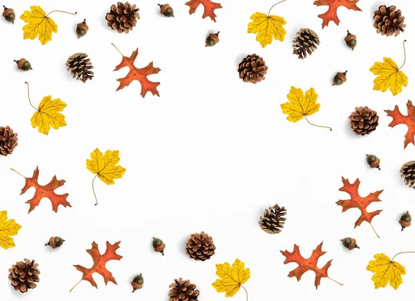 Podzimní maketa scénu. Složení kreativní podzim vyrobené z barevné javor, dubové listy, šišky a žaludy, ploché ležel. Izolované přírodní objekty na bílém pozadí. Místo pro váš text, pohled shora. — Stock fotografie