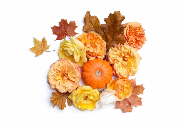 Hösten blommig sammansättning av färgglada lönn, Eklöv, orange pumpa och vissnande rosor isolerad på vit bakgrund. Hösten och Thanksgiving koncept. Stylade lager platt låg fotografi. Ovanifrån. — Stockfoto