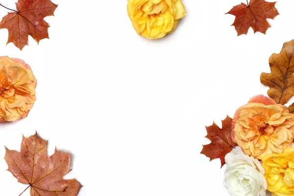 Jesień kwiatowy ramki wykonane klon kolorowy i liście dębu i blaknięcie moreli i żółte róże na białym tle. Pojęcie spadku i Dziękczynienia. Urządzone mieszkanie czas leżał fotografii. Widok z góry. — Zdjęcie stockowe