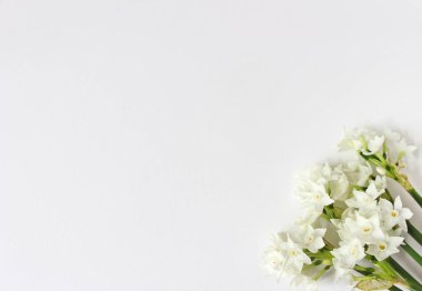 Bahar stok fotoğraf tarz. Paskalya kavramı. Buket Nergis, nergis çiçek beyaz masa arka plan üzerinde ile kadınsı masaüstü sahne. Boş alanı. Düz yatıyordu, en iyi görünümü.