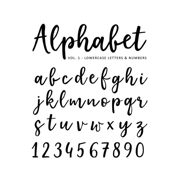 Alfabeto vectorial dibujado a mano. Brush script font. Letras en minúsculas aisladas y números escritos con marcador o tinta. Caligrafía, letras . — Archivo Imágenes Vectoriales