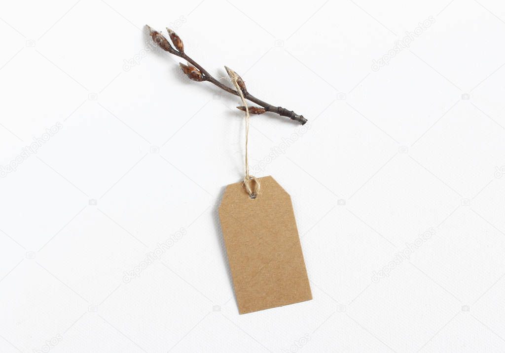 Close-up of craft paper gift tag with rope and brown branch with buds isolated on white canvas background. Spring composition, top view.