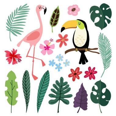 Yaz tropikal grafik öğeleri. Toucan ve flamingo kuşları. Orman çiçek illüstrasyonlar, palm, monstera yaprakları, hibiscus çiçek. İzole illüstrasyonlar, çocuklar düz tasarım, vektörel çizimler. Egzotik doğa.